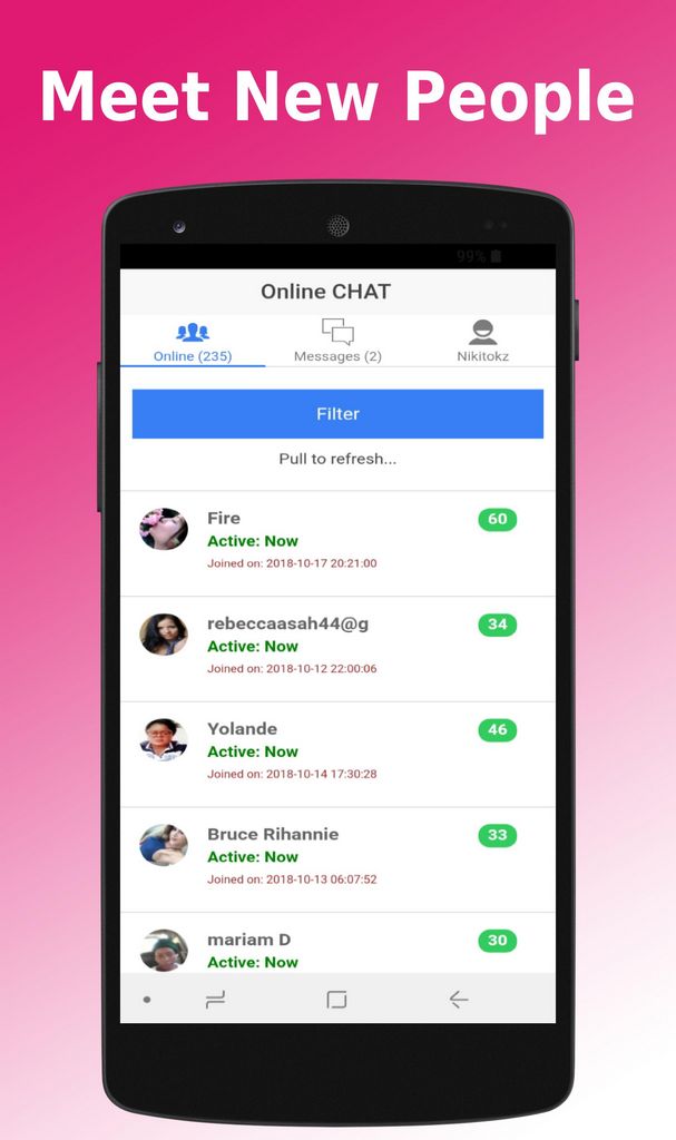 Sofia Day Scams: Participants Problems